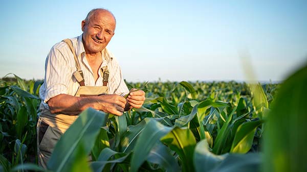 farmer-img-16