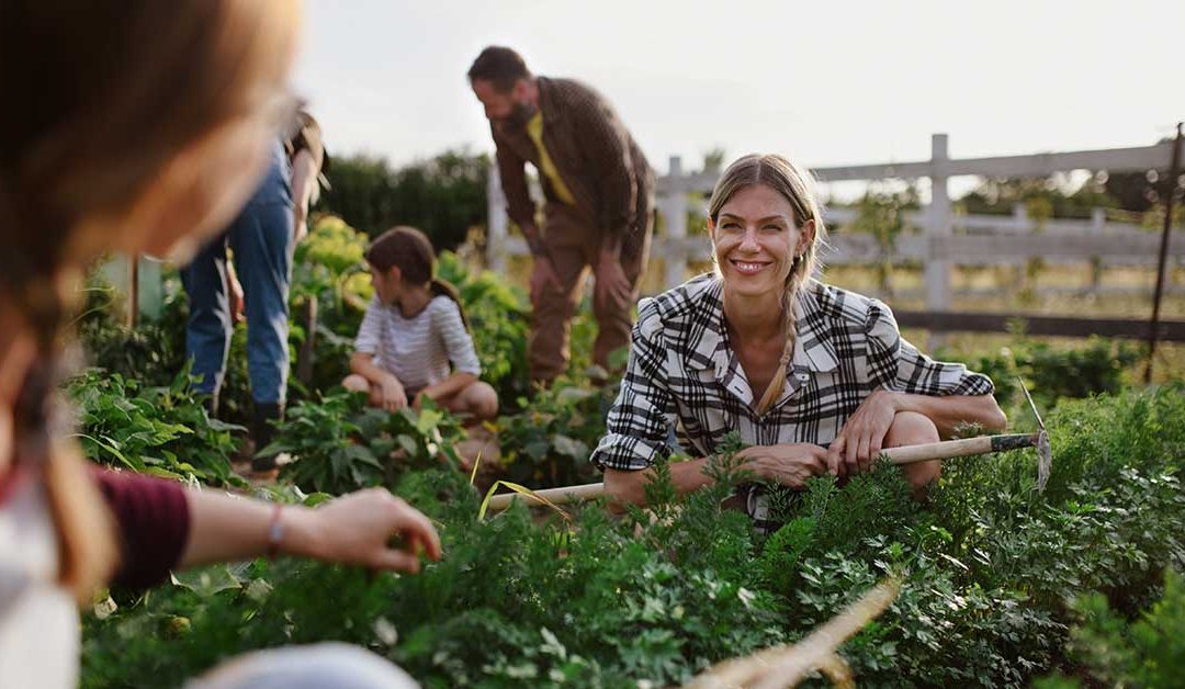 Mojave Harvest Farm